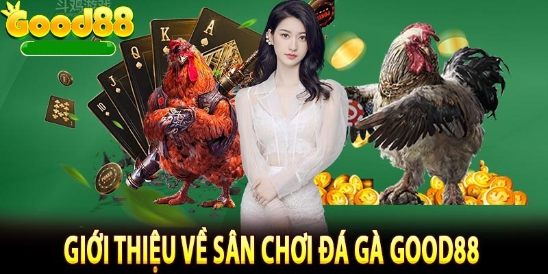 Đá gà - Chất lượng trực tuyến full HD+ miễn chê